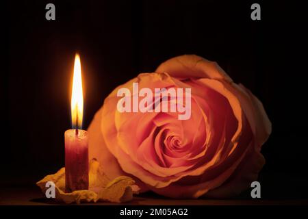 Eine Kerzenflamme und neben einer Rose in der dunklen Nahaufnahme Stockfoto