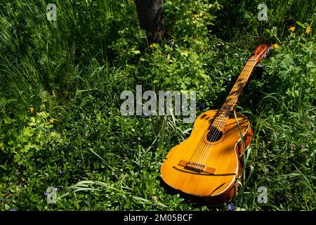 Braune Holzgitarre liegt im Frühling in der Ukraine in Wildblumen Stockfoto