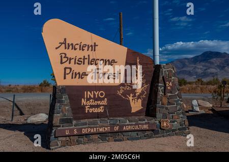 Schild für den antiken Bristlecone Pine Forest, Inyo National Forest, Kalifornien, USA Stockfoto