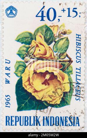 Foto einer Briefmarke aus Indonesien Hibiscus tiliaceus Flowers National Disaster Fund Serie 1966 Stockfoto