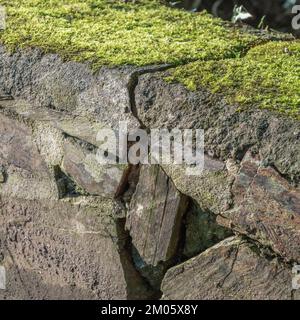 Beschädigte Mauerarbeiten in der Nachmittagssonne. Der Steinbruch vergrößert sich mit der Zeit. Stockfoto