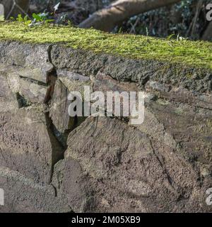 Beschädigte Mauerarbeiten in der Nachmittagssonne. Der Steinbruch vergrößert sich mit der Zeit. Verfügbarer Kopierbereich und PIP-Speicherplatz. Stockfoto