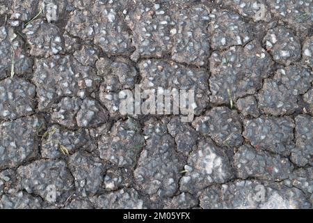 Frost/Ermüdung beschädigte Asphaltfläche mit Alligatorrissen auf einer Landstraße in Großbritannien. Für schlechte Autobahninstandhaltung, alten Asphalt, Stockfoto