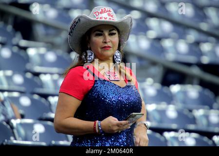 Houston, Texas, USA. 4.. Dezember 2022. Ein Houston Texans-Fan sieht sich vor dem Spiel zwischen den Houston Texans und den Cleveland Browns im NRG Stadium in Houston, TX, am 4. Dezember 2022 Aufwärmübungen an. (Kreditbild: © Erik Williams/ZUMA Press Wire) Kredit: ZUMA Press, Inc./Alamy Live News Stockfoto