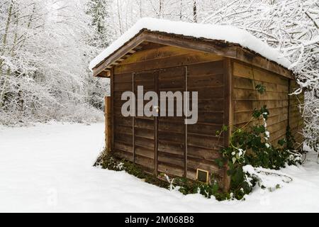 Gartenschuppen mit Holzlatten und Schnee auf dem Boden, das Dach und die Brombeerreben wachsen Stockfoto