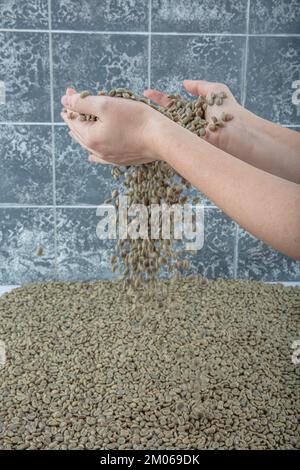 Grüne Kaffeebohnen schließen sich. Nicht geröstete Kaffeebohnen oder grüne Kaffeebohne. Stockfoto