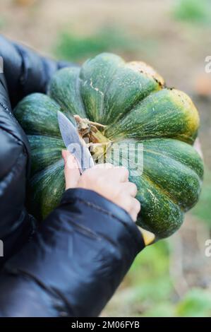 Kurze Aufnahme einer Frau, die für die Halloween-Party einen großen orangefarbenen Kürbis schnitzt, während sie zu Hause am Holztisch sitzt und ein beängstigendes Gesicht auf einer Jack-o-Laterne macht Stockfoto