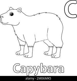 Capybara Tieralphabet ABC isolierte Farbgebung C Stock Vektor