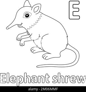 Elephant Shrew Alphabet ABC isolierte Farbe E Stock Vektor