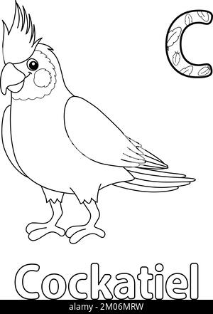Cockatiel Animal Alphabet ABC Isolated Färbung C Stock Vektor