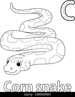 Corn Snake Alphabet ABC Isolated Coloring Seite C Stock Vektor