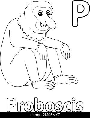Proboscis Monkey Alphabet ABC Isolated Coloring P Stock Vektor