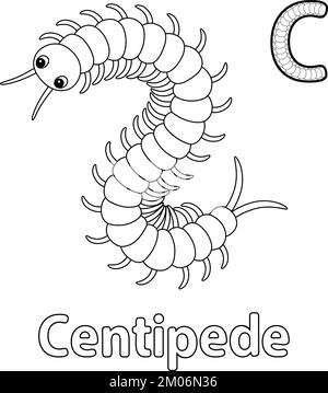 Centipede Animal Alphabet ABC isolierte Farbgebung C Stock Vektor