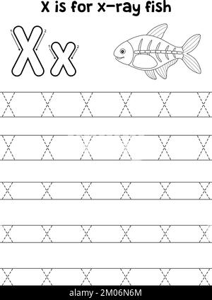 X-ray Fish Animal Tracing Letter ABC Coloring X Stock Vektor