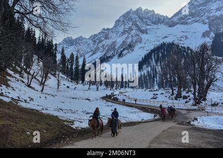 Sonamarg, Indien. 04.. Dezember 2022. Indische Touristen genießen Reiten an einem kalten Wintertag in Sonamarg, etwa 100kms km nordöstlich von Srinagar, der Sommerhauptstadt von Jammu und Kaschmir. (Foto: Saqib Majeed/SOPA Images/Sipa USA) Guthaben: SIPA USA/Alamy Live News Stockfoto