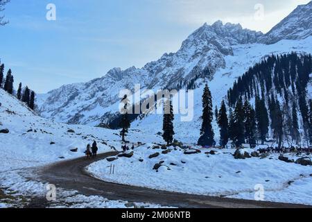 Sonamarg, Indien. 04.. Dezember 2022. Indische Touristen genießen einen Ausritt an einem kalten Wintertag in Sonamarg, etwa 100kms km nordöstlich von Srinagar, der Sommerhauptstadt von Jammu und Kaschmir. (Foto: Saqib Majeed/SOPA Images/Sipa USA) Guthaben: SIPA USA/Alamy Live News Stockfoto