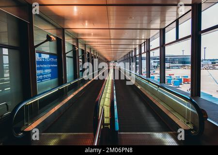 Flugbahn eines modernen Flughafengebäudes Stockfoto