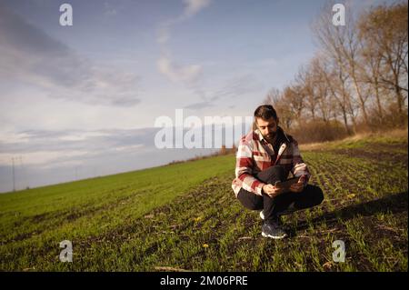 Ein junger Agrarwissenschaftler hält eine Tafel in den Händen auf einem grünen Weizenfeld. Ein Landwirt macht sich während des Sonnenuntergangs Notizen über landwirtschaftliche Flächen. Stockfoto