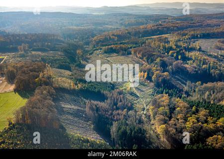 Luftbild, Wildwald Vosswinkel Waldgebiet mit Waldschäden im Stadtteil Voßwinkel in Arnsberg, Sauerland, Nordrhein-Westfalen, Deutschland Stockfoto
