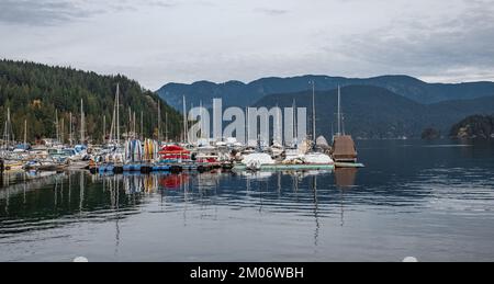 Luxusyachten, die im Yachthafen anlegen. Hafen in North Vancouver. Modischer Urlaub. Segelboothafen, viele wunderschöne Segelyachten im Hafen, mod Stockfoto