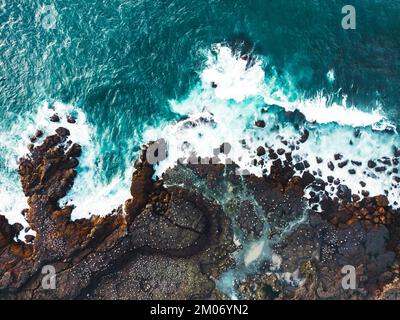 Blick von oben auf die in Island nistenden Papageientaucher Stockfoto