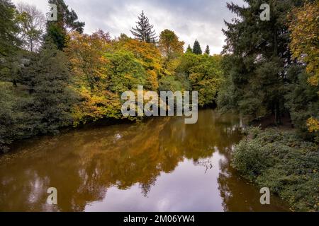 Spaziergang am Fluss Derwent im Herbst, Derbyshire, England Stockfoto