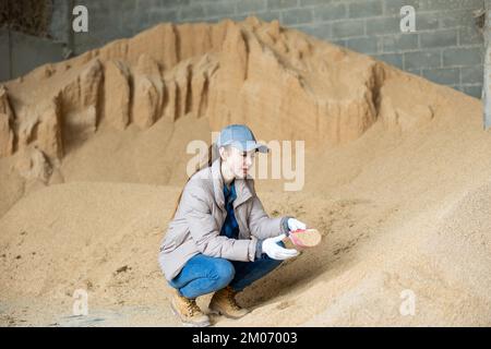 Bäuerin hockt auf einem Haufen Sojabohnenschalen Stockfoto