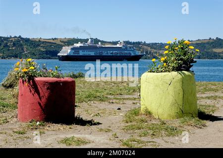 MS Zaandam Kreuzfahrtschiff in Golfo de Ancud auf Chilo Island. Castro ist eine Stadt auf Chilo Island im chilenischen Seengebiet. 11.. Januar 2014 - Castro Chi Stockfoto