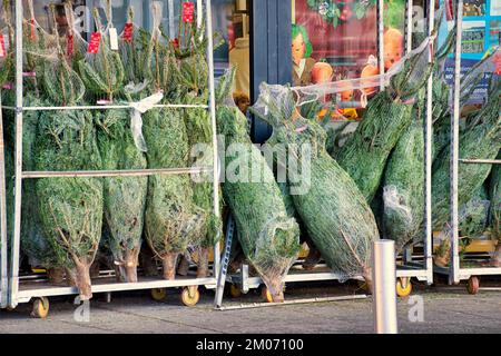 Weihnachtsbäume zum Verkauf stapelten sich Stockfoto