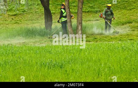 Ukraine, Kiew, 06.20.2019. Eine Gruppe von öffentlichen kommunalen Arbeitern in hellgrünen Uniformen und Masken, die in einem Park mit Handheld Gasoline Lawn Mo Gras mähen Stockfoto