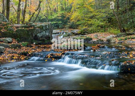 Wasserfall, Herbstfarben, Laurel Creek. Great Smoky Mountains National Park, TN, USA, Ende Oktober, von Dominique Braud/Dembinsky Photo Assoc Stockfoto