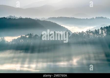 Nebeliger Sonnenaufgang, vom Foothills Parkway. Great Smoky Mountains National Park, TN, USA, Ende Oktober, von Dominique Braud/Dembinsky Photo Assoc Stockfoto