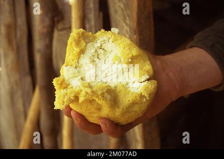 Prahova County, Rumänien, 1990. Schäferhund, der die traditionelle „Bulz“ herstellt: Polenta in Kugeln geformt und mit Käse gefüllt. Stockfoto