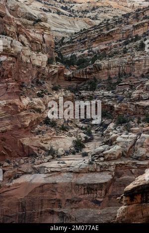 Trockener Fall am Ende des Canyon entlang des Navajo Knob Trail im Capitiol Reef Stockfoto