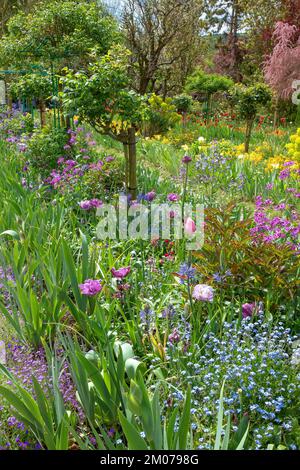 Claude Monets blühender Garten in Giverny, Frankreich Stockfoto