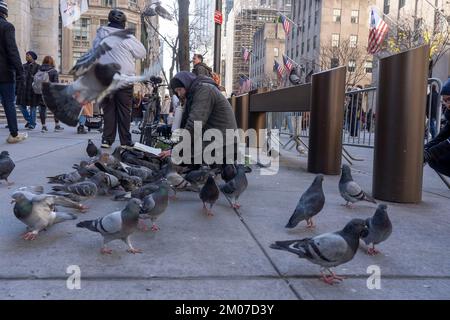 New York, Usa. 04.. Dezember 2022. NEW YORK, NEW YORK - 04. DEZEMBER: Am 04. Dezember 2022 in New York City liest ein von Tauben umgebener Mann ein Buch vor der Saint Patrick Cathedral. Sunday Fifth Avenue wurde für mehrere Stunden geschlossen. Dies ist Teil des offiziellen Auftakts von „Fifth Avenue for All“, einem neuen Programm, das die 5. Avenue von der 47.. Bis zur 57.. Straße jeden Sonntag im Dezember in eine Fußgängerzone verwandeln wird. Kredit: Ron Adar/Alamy Live News Stockfoto