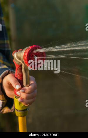 Sehen Sie, wie Frauen Pflanzen aus dem Schlauch bewässern, im Garten regnen. Gärtner mit Gießschlauch und Sprühwasser auf den Blumen Stockfoto