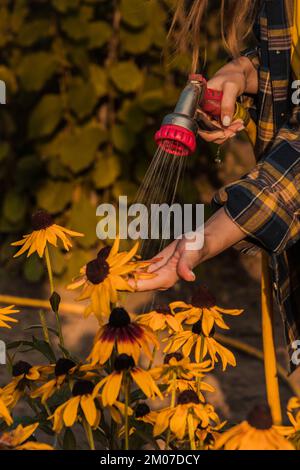Sehen Sie, wie Frauen Pflanzen aus dem Schlauch bewässern, im Garten regnen. Gärtner mit Gießschlauch und Sprühwasser auf den Blumen Stockfoto
