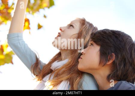 Gemeinsam die Welt erkunden. Ein Bruder und eine Schwester, die die Herbstblätter berühren. Stockfoto