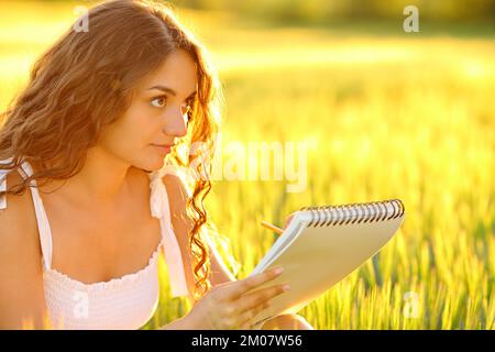 Frau, die bei Sonnenuntergang auf einem Feld auf Notizbuch malt Stockfoto