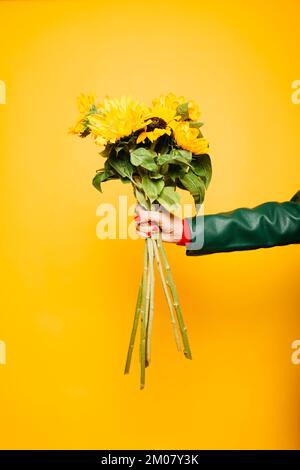 Hände einer älteren Frau mit einem Sonnenblumenstrauß auf gelbem Hintergrund Stockfoto