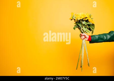 Hände einer älteren Frau mit einem Sonnenblumenstrauß auf gelbem Hintergrund Stockfoto