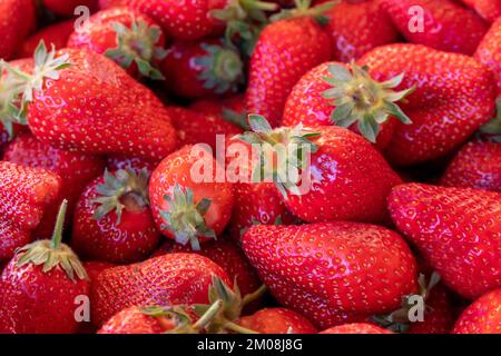 Hintergrund aus erntefrischen Erdbeeren direkt über Stockfoto