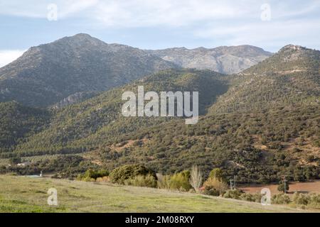 Blick auf den Sierra Magina Nationalpark, Jaen, Spanien Stockfoto