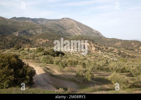 Pfad im Sierra Magina Nationalpark, Jaen, Spanien Stockfoto