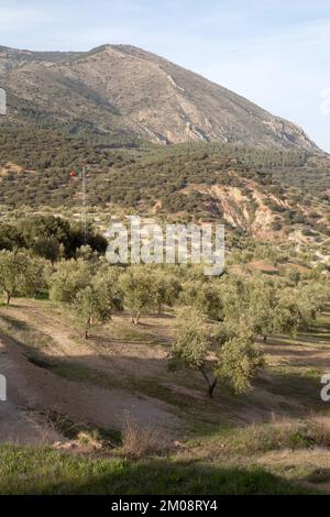 Pfad im Sierra Magina Nationalpark, Jaen, Spanien Stockfoto