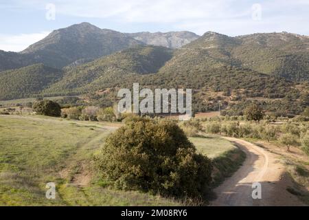 Pfad im Sierra Magina Nationalpark, Jaen, Spanien Stockfoto