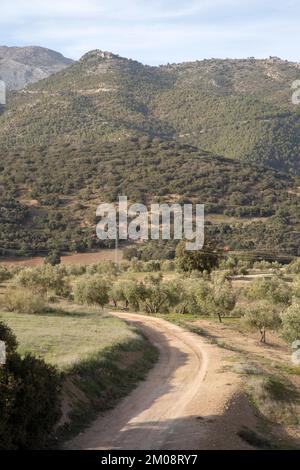 Pfad im Sierra Magina Nationalpark, Jaen, Spanien Stockfoto