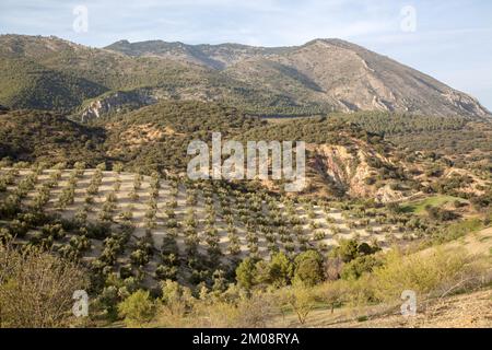 Landschaft des Sierra Magina Nationalparks, Jaen, Spanien Stockfoto