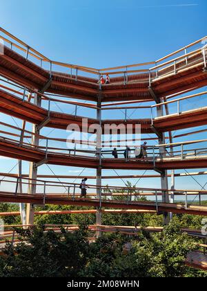 Baumpfad mit Touristen und Kupferbuche (Fagus sylvatica), Naturerbe Zentrum Rügen, Prora, Binz, Rügen, Mecklenburg-Vorpommern, Deutschland, Eu Stockfoto